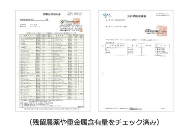 �A�K���X�N��������